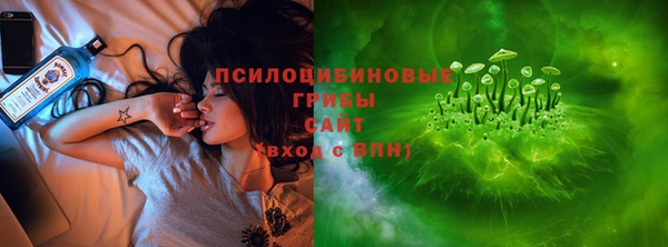 индика Карталы