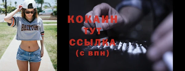 индика Карталы