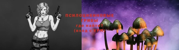 индика Карталы