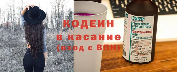 индика Карталы