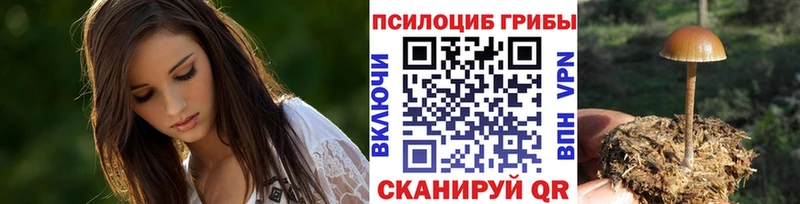Галлюциногенные грибы Psilocybine cubensis  Купить закладки  Сковородино 