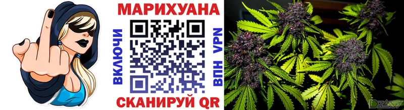 Купить где  Сковородино  Конопля OG Kush 